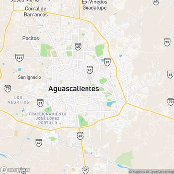 Chat Aguascalientes