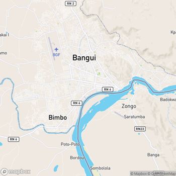 Chat Bangui