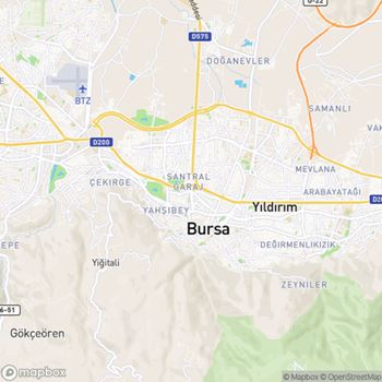 Bursa