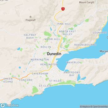 Dunedin