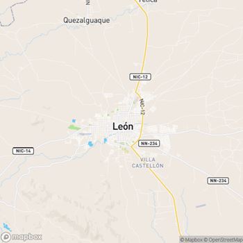 Chat León