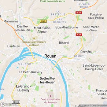 Chat Rouen