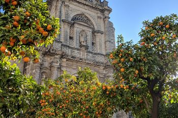 Jerez de la Frontera