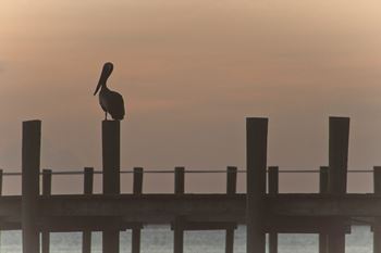 Port St. Lucie