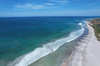 Tamarindo