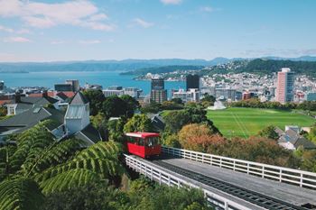 Wellington